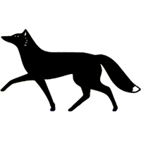 Black Foxes