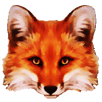 Fiery Foxes